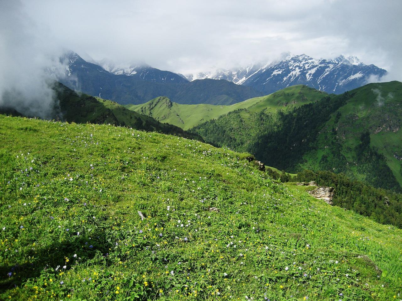 Alpine Meadows of Auli