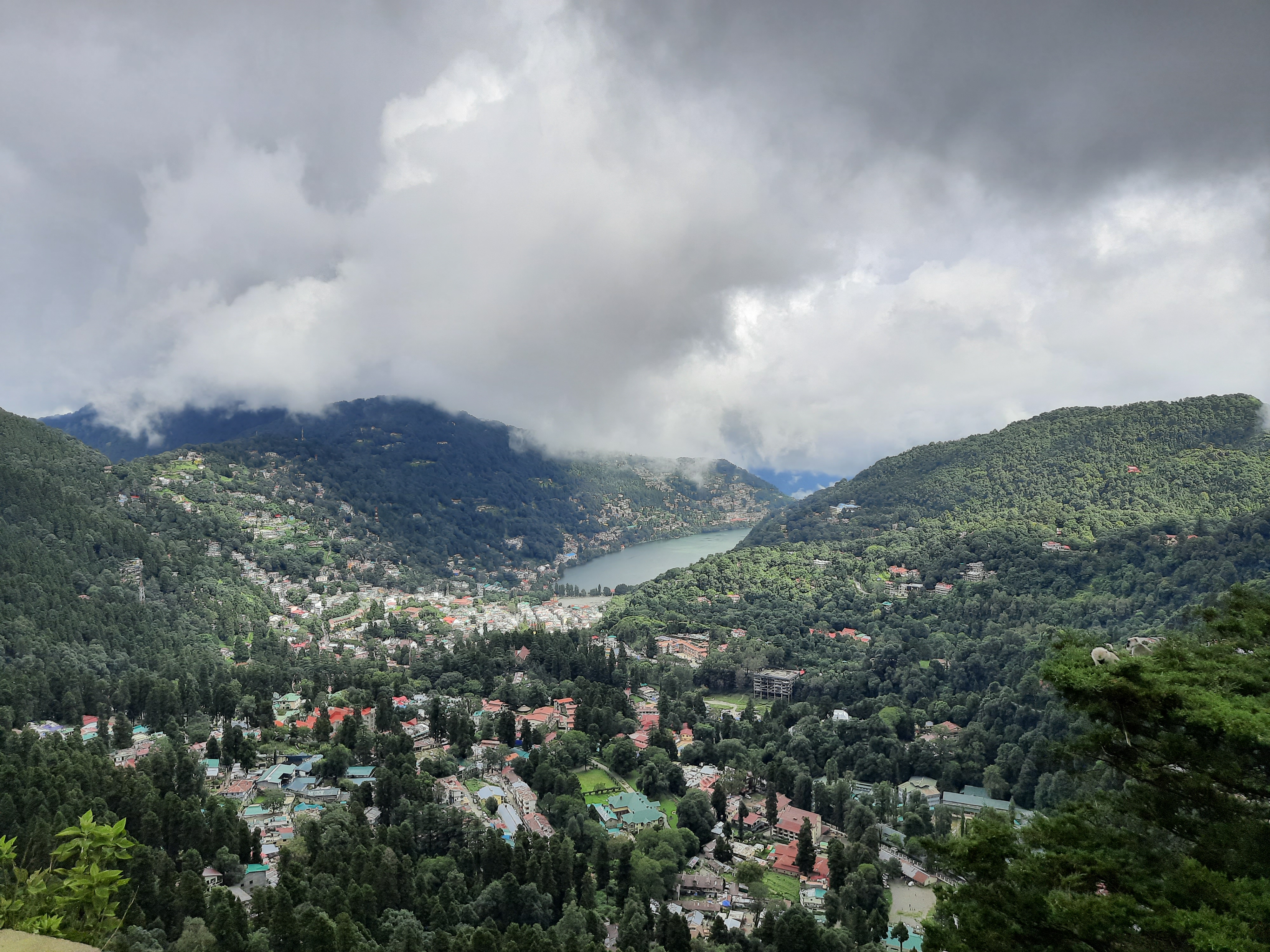 Rowboats in Nainital